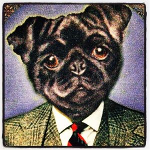 Meet your Posher, Miguel